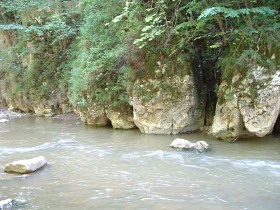 erdei túrák, turista útvonal